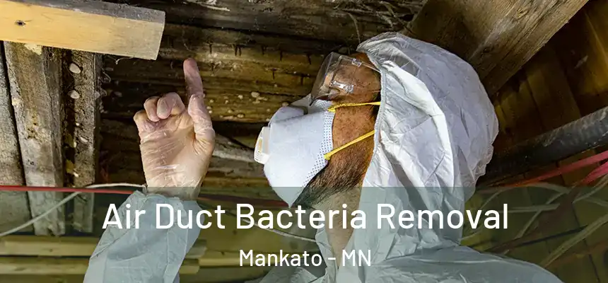  Air Duct Bacteria Removal Mankato - MN
