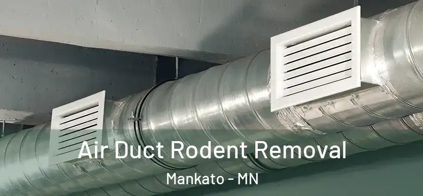  Air Duct Rodent Removal Mankato - MN