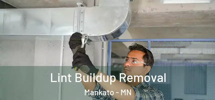  Lint Buildup Removal Mankato - MN