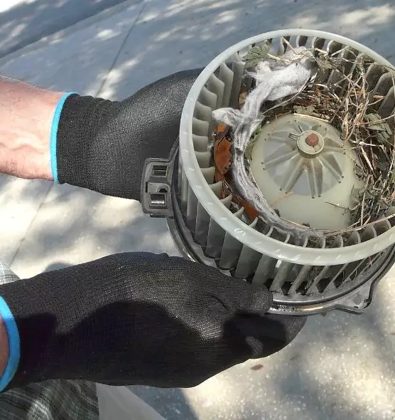 About Air Duct Rat Removal in Mankato, MN