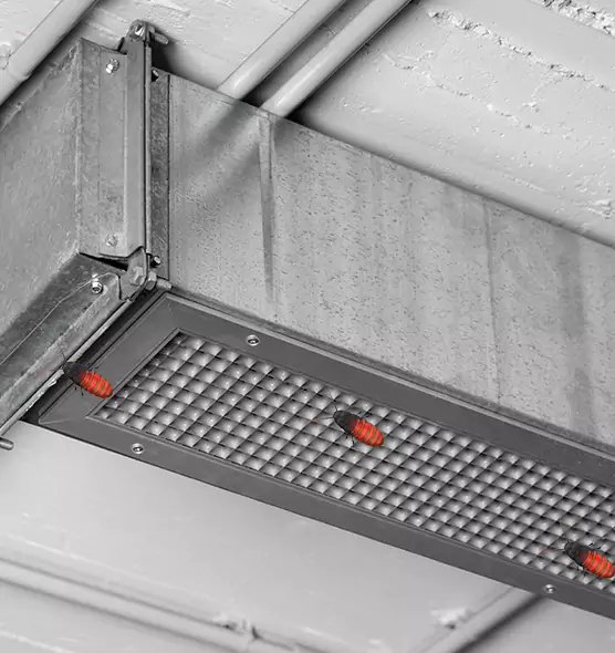 Affordable Insect Removal from Air Ducts in Mankato, MN