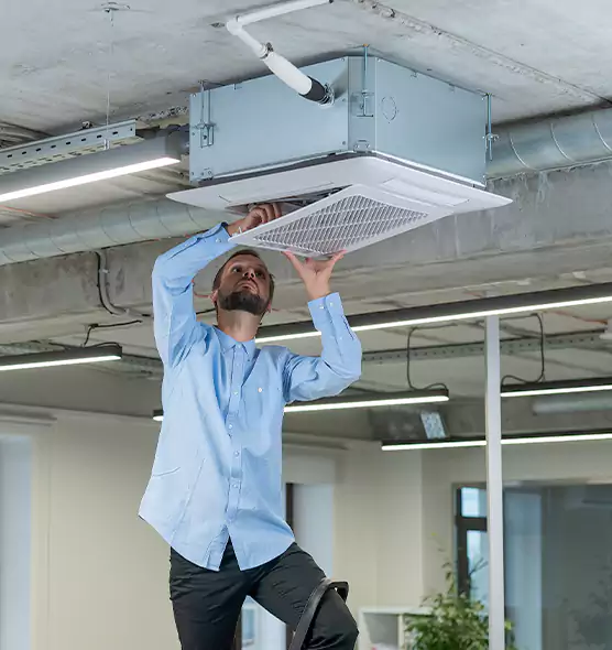 Advanced Rodent Droppings In Vents in Mankato, MN