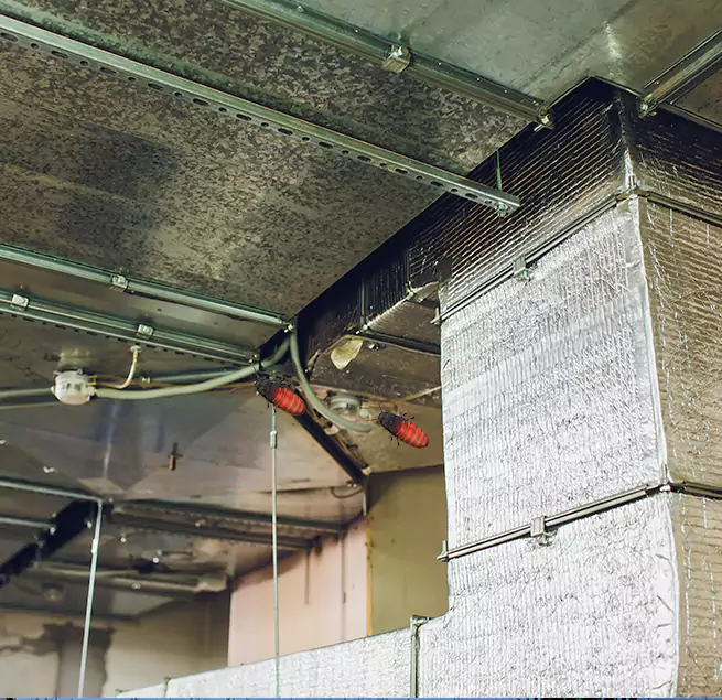 Why Homeowners & Businesses Trust Us in Mankato, MN?