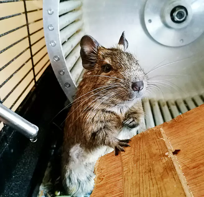 Why Homeowners & Businesses Trust Us Mankato, MN?