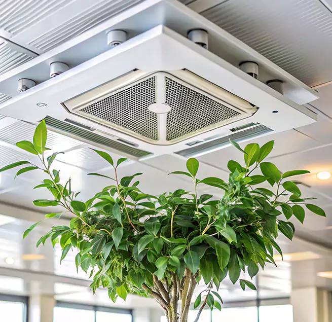 Why Homeowners & Businesses Trust Us in Mankato, MN